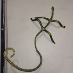 آهن راوی